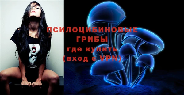 каннабис Богданович