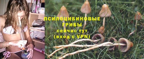 гашишное масло Богородицк
