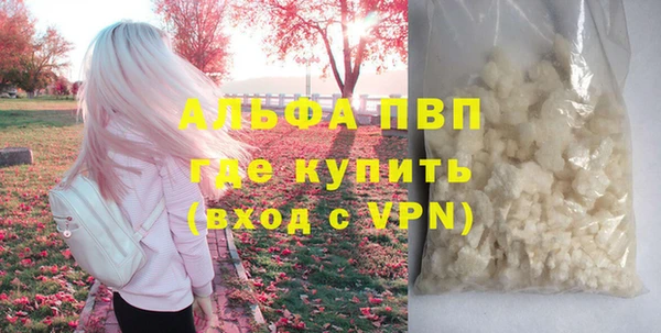 прущие грибы Богородск