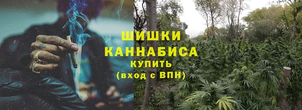 прущие грибы Богородск