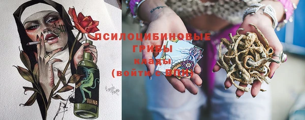 прущие грибы Богородск