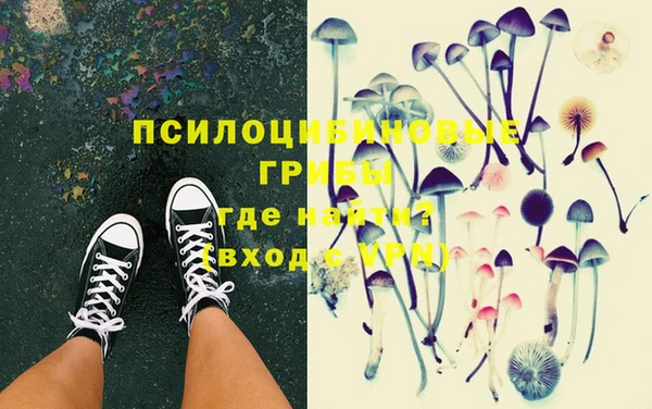 гашишное масло Богородицк
