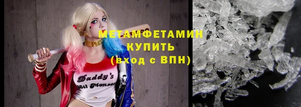 прущие грибы Богородск