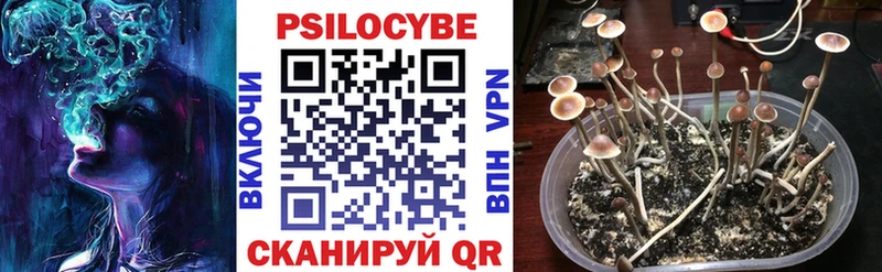 Псилоцибиновые грибы Magic Shrooms  как найти   Ковылкино 